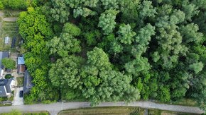 Lesný pozemok s výmerou 9006 m2, Čechy - 5