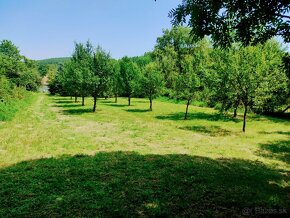 20 árový lukratívny pozemok - Košice/Fuzerkomlos - 5