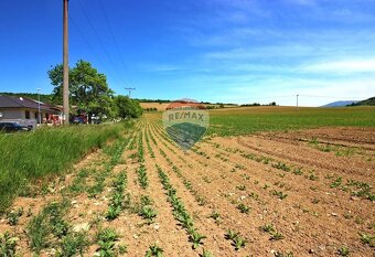 NA PREDAJ pozemok v Bošáci, možná budúca výstavba - 5