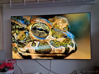 Oled tv lg - 5