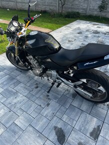 HONDA HORNET 600 - 5