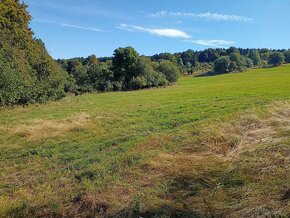 Pozemok na okraji lesa v lokalite Javorie cca 22 km od ZV - 5