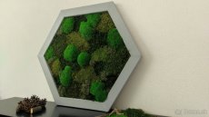 Predám obraz z machu: Hexagon šedý L (60 x 53 cm) - 5