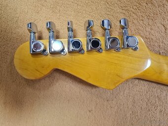 Stratocaster Fokus SSH - 5