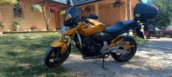 Honda Hornet 600 - 5