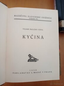 Staršie knihy v zachovalom stave do roku 1940 - 5