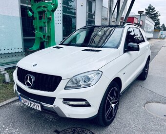 Mercedes ML 250 4matic - 5