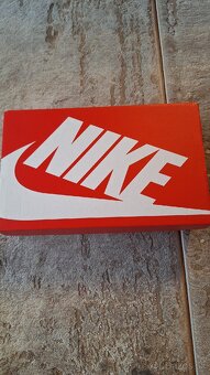 Nike Dunks - 5