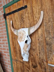Vyrezávaná drevená lebka byvola - Bubalus, 62cm - 5
