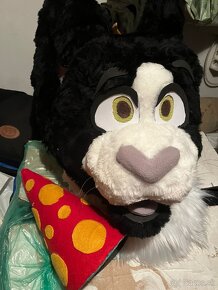 Fursuit - 5