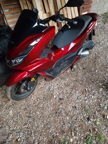 Honda PCX - 5