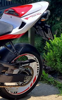 Honda CBR600 RR 2006 (RSD Progress) - 5