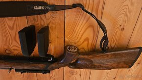 Sauer 303 - 5