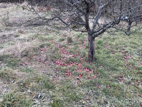 Predám záhradu pozemok Kremnica - 5