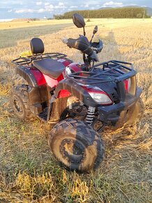 Stvorkolka FX ATV 200cc - 5