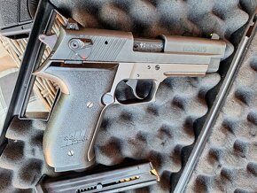 Sig Sauer 22lr - 5