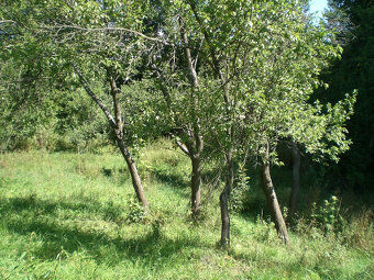 STAVEBNÝ POZEMOK PRI POTOKU 1963 m2 BRESTOVEC okres MYJAVA - 5