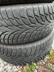 Nokian WRd3 205/55 R16 - 5