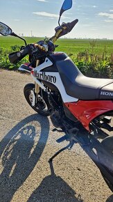 Honda FMX 650 - 5