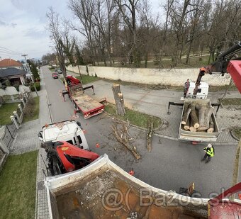 Rizikové pílenie stromov, pracovná plošina 16-37m - 5