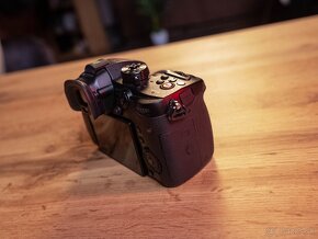 Panasonic LUMIX GH5s - 5