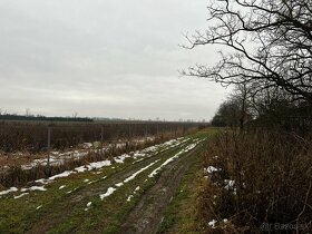 Ponúkame Vám na predaj pozemok - záhradu v Haniskej. - 5