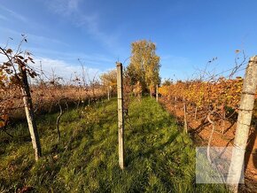 Rekreačný domček s pozemkom pri Vrábľoch na predaj - 5