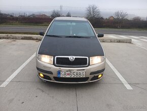 Fabia - 5