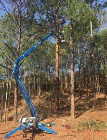 Arboristika /Rizikové pílenie stromov /Výrub stromov - 5