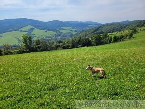 Väčší rekreačný pozemok s nádhernými výhľadmi nad obcou Zu - 5