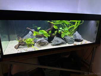 Akvárium, Akvarium - 5