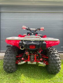 Yamaha Grizzly 700fi - 5