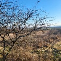 Na predaj chatka a pozemok  Hegyfarok-Štúrovo - 5