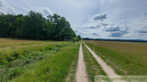 Lesný pozemok 37 000 m2 - 3,7 ha v obci Borský Mikuláš, 60 - 5