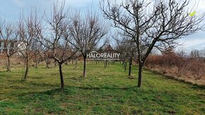 HALO reality - Predaj, rekreačný pozemok Žemberovce, s vinič - 5