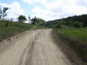 Predaj, Pozemok/Lesná pôda (RK01021164) - 5