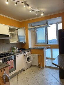 1 bedroom apartment for rent - 5
