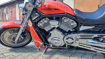 Harley Davidson V-rod - 5