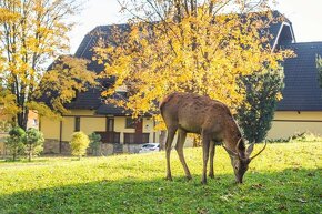 Mezonetový apartmán v centre Tatranskej Lomnice na predaj - 5