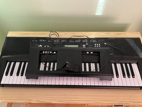 Yamaha keyboard s dynamikou - 5