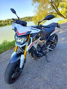 Yamaha MT-09 Street Rally. - 5