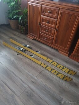 Predam ski-alp HAGAN,170 cm,viaz.Diamir do 340 mm - 5