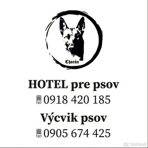 dvojtyzdnovy vycvik start, mesacny vycvik psov, hotel - 5