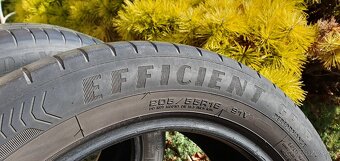 GOODYEAR  EFICIENT GRIP 205/55 R16 91V LETNE, 205/55 16 - 5