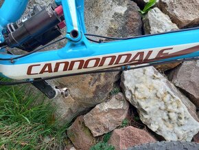 cannondale jekyll - 5