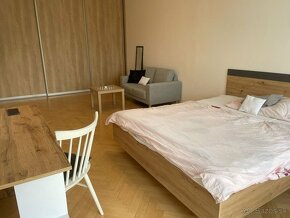 Fully furnished 4 room apartment in the City center for rent - 5