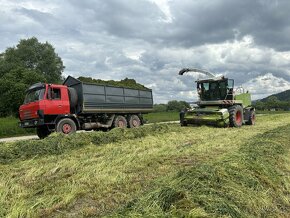 Agroslužby - odvoz / preprava Tatra Agro 815 - 5