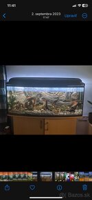 Akvarium 130x40x50 zaoblene - 5