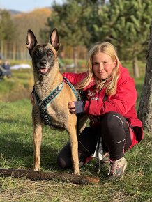 Belgický ovčiak malinois - 5