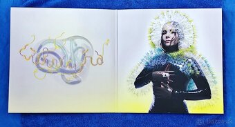 Björk - Vulnicura (Vinyl, Platňa, LP) - 5